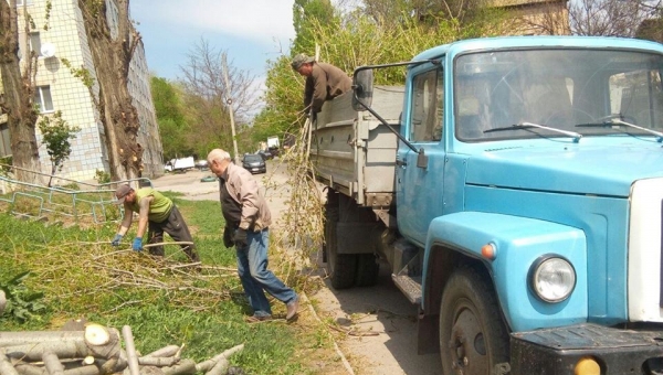 Війна з деревами триває… 