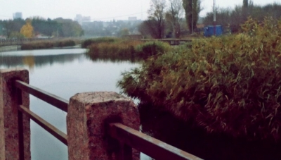 Остерігайтеся крокодилів на річці Інгул (ФОТО)