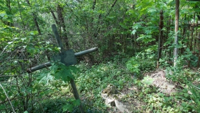 «У тридцять третьому голод був страшніший»