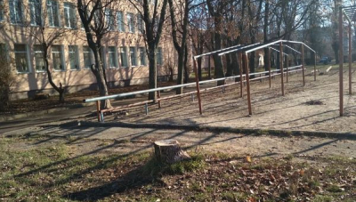 У нашому місті не можна прив’язуватись до дерев…