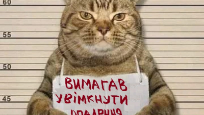 Не тягніть кота за хвоста – його там немає! (ФОТО)