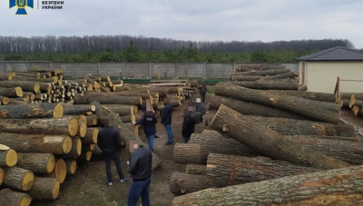 Скоро може настати час, коли річ з дерева буде на вагу золота