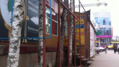 Депутат, який за 50 см землі знищив берізки…