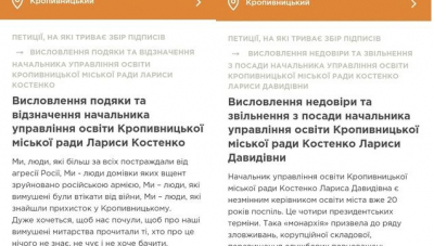 Про петиції щодо Костенко: флюгер гарний, коли він крутиться на даху…