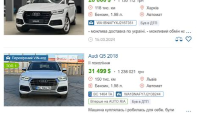 Скільки насправді коштує авто Лариси Костенко?