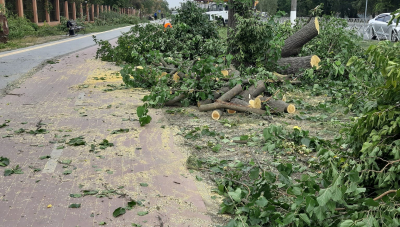 На вулиці академіка Тамма сталося масове вбивство