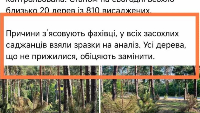 Дерева сохнуть. Винна та, що поливала?