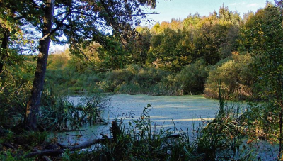 Знову про Чорноліський природний парк. То коли ж він буде?