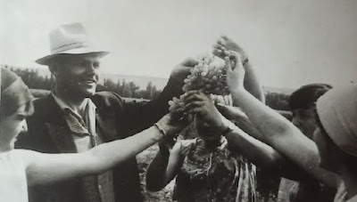 «Від любові до винограду і тин поцілуєш…»