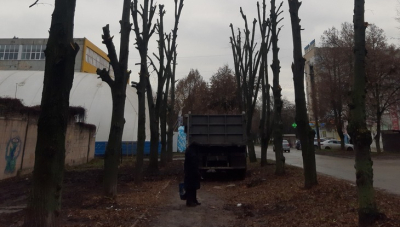 «Порядок» у Кропивницькому завжди починається зі знищення дерев?