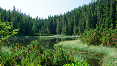 Міністерство схвалило. Та чи буде Національний парк?
