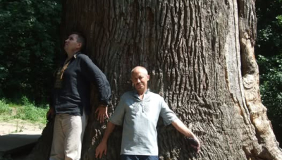 З одного лісу