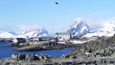 Наша, антарктична