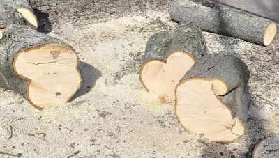 Дерева заважають вже й Алеї героїв?