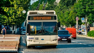 "Її хоч живий, а я свого, вважай, поховала"